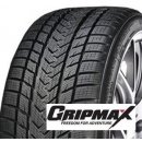 Gripmax Status Pro Winter 335/25 R22 105V