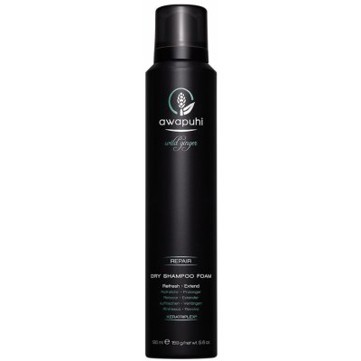 Paul Mitchell Awapuhi Wild Ginger Repair Suchý pěnový šampon 195 ml – Zbozi.Blesk.cz