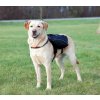 Potřeby pro cestování se psem na záda pro psa L-XL 31 x 17 cm