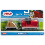 Fisher Price Motorizovaná lokomotiva SALTY s vozem HMC21 – Zboží Mobilmania