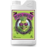 Advanced Nutrients Big Bud Liquid 1l – Zboží Dáma