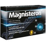 Magnisteron Forte 30 tablet – Hledejceny.cz