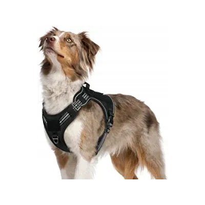 RABBITGOO postroj pro psa – Zboží Dáma