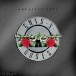 Guns N' Roses - Greatest hits, 1CD, 2004 – Zboží Mobilmania