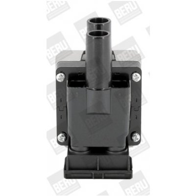 Zapalovací cívka BorgWarner (BERU) ZS313 – Hledejceny.cz