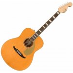 Fender Palomino Vintage – Zboží Mobilmania