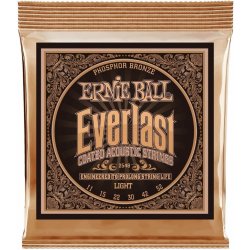 Ernie Ball 2548