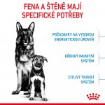 Royal Canin Starter Mother&Babydog Maxi 15 kg – Zboží Dáma