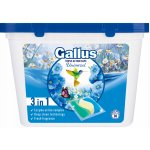 Gallus Universal tablety 30 PD – Sleviste.cz