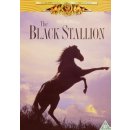 The Black Stallion DVD