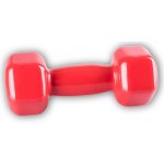 Power System VINYL DUMBELL 3 kg – Zboží Dáma
