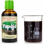 Bylinné kapky Acai Berry kapky tinktura 50 ml – Hledejceny.cz