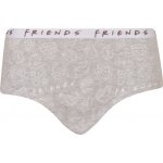 E plus M dívčí kalhotky Friends (FRNDS-B) šedé – Sleviste.cz