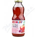 HiPP ŠŤÁVA BIO Šípkový čaj+ovocná šťáva 0,5 l – Zboží Dáma