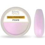 Starnails Nail Art zdobení pigment P029 – Hledejceny.cz