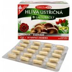 Terezia Company Hlíva ústřičná + lactobacily 180 kapslí – Hledejceny.cz