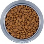 Royal Canin Protein Exigent 2 x 10 kg – Hledejceny.cz