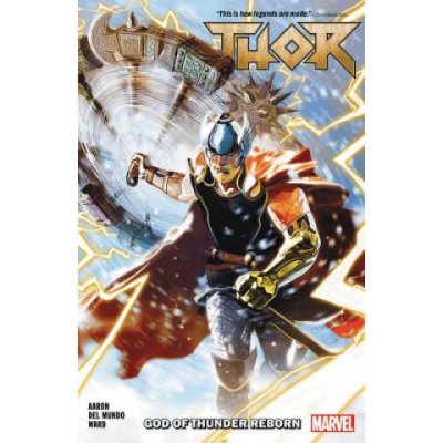 Thor Vol. 1: God Of Thunder Reborn – Hledejceny.cz