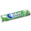 Žvýkačka Wrigley's Orbit Mints Spearmint 28 g
