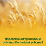 Walmark Rutin 50 mg 90 kapslí – Hledejceny.cz