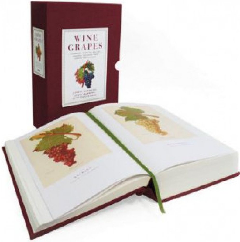 Wine Grapes A Complete Guide to 1,368 Vine Varieties, Including Their Origins and Flavours