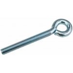 MTR Oko s metrickým závitem, M10×100mm, ZN – Zbozi.Blesk.cz
