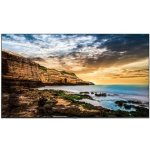Samsung LH65QETELGCXEN – Zboží Živě