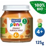 Salvest Põnn BIO Dýňové pyré 125 g – Zboží Dáma