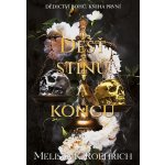 Déšť stínů a konců – Hledejceny.cz