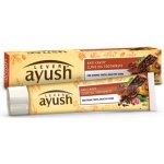 Lever Ayush zubní pasta s hřebíčkovým olejem proti krvácení dásní 120 g – Zboží Dáma