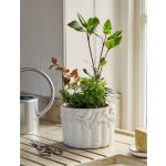 Kameninový květináč Cetara Rustic White 18 cm Garden Trading – Hledejceny.cz
