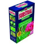 Substral Osmocote pro dům a balkon 300 g – Hledejceny.cz