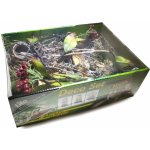 Lucky Reptile Deco Set Jungle – Zbozi.Blesk.cz