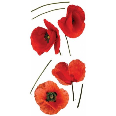 KUPSI-TAPETY Poppies 54101 samolepící dekorace Crearreda vlčí máky samolepky na zeď 31x31 cm – Zbozi.Blesk.cz