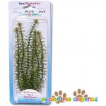 Tetra Anacharis 23 cm – Zboží Mobilmania