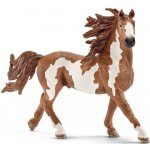 Schleich 13794 Pinto Hřebec – Sleviste.cz