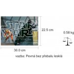 Star Wars: Dobrodružství Luka Skywalkera, rytíře Jedi - Tony DiTerlizzi, Ralph.. – Hledejceny.cz