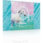 Karton P+P podložka na stůl 60x40cm kůň romantic – Zbozi.Blesk.cz
