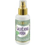 PURITY VISION Bio Šalvějová voda 100 ml – Sleviste.cz