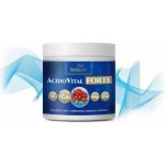 AcidoVital FORTE Zásaditá minerální směs 234 g – Hledejceny.cz