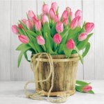 Ubrousek 33x33 cm TULIPÁNY VE VÁZE – Hledejceny.cz
