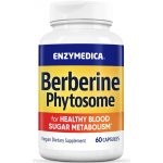 Enzymedica Berberine Phytosome zdravý metabolismus 60 kapslí – Hledejceny.cz