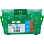 Šroub se zapuštěnou hlavou SPAX T-Star Plus, nerezová ocel A2, 125 ks - A BAUHAUS – Hledejceny.cz