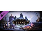 Pillars of Eternity - The White March: Part 1 – Hledejceny.cz