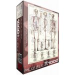 EuroGraphics Kosterní soustava The Skeletal System 1000 dílků – Sleviste.cz