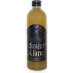 Stevikom Ginger Lime bio kombucha sklo 350 ml – Zboží Dáma