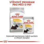 Royal Canin Mini Dermacomfort 8 kg – Zboží Mobilmania