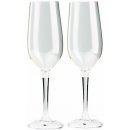 GSI Nesting Champagne Flute Set