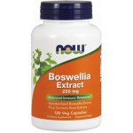 Now Foods Boswellia Extrakt + Kurkuma 250 mg 120 kapslí – Hledejceny.cz