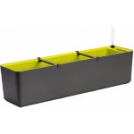 Plastia Berberis samozavlažovací truhlík 60 x 19,5 cm antracit/ zelený – Zboží Mobilmania